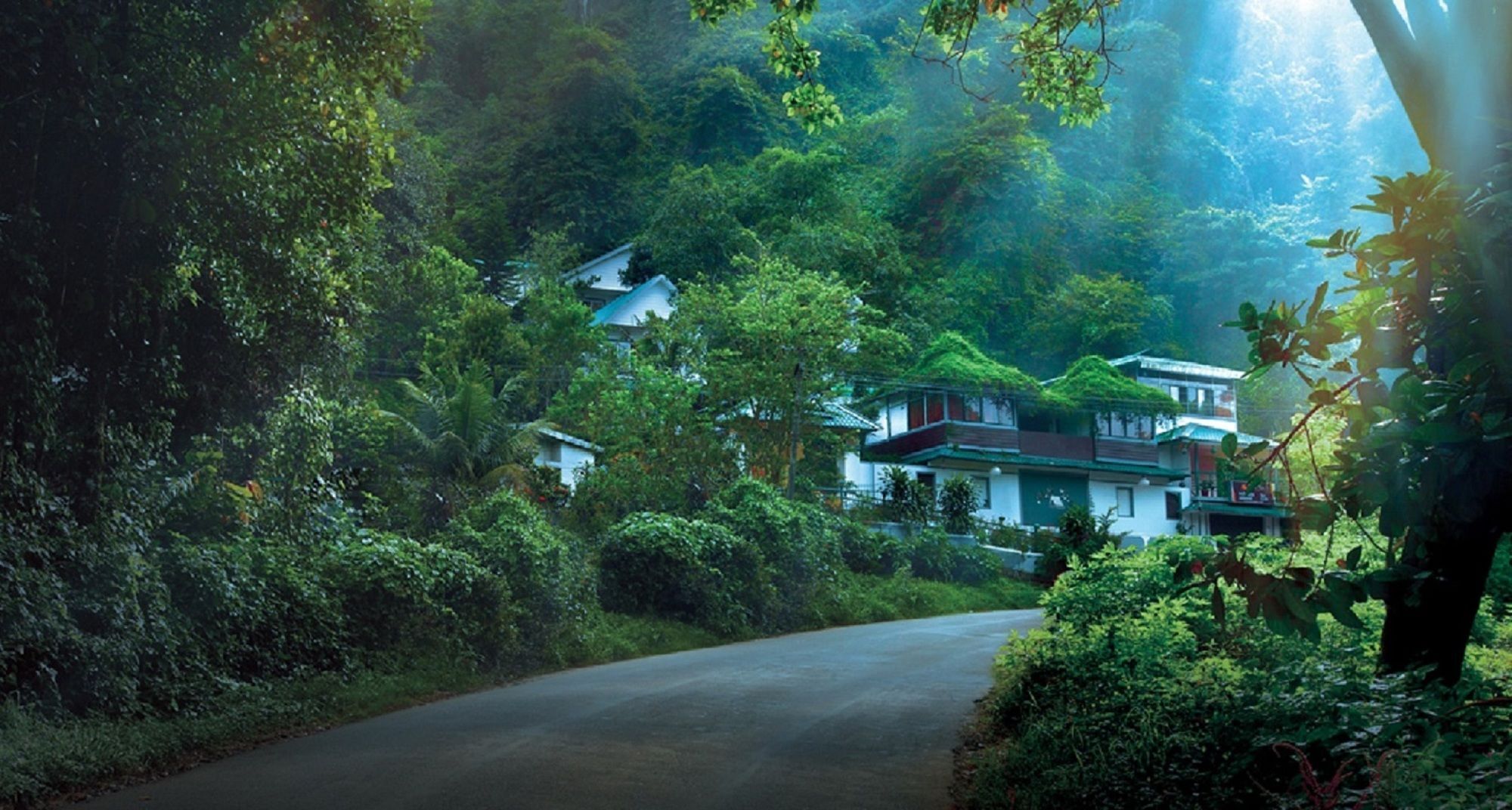 Bellavista Resort Munnar Ngoại thất bức ảnh