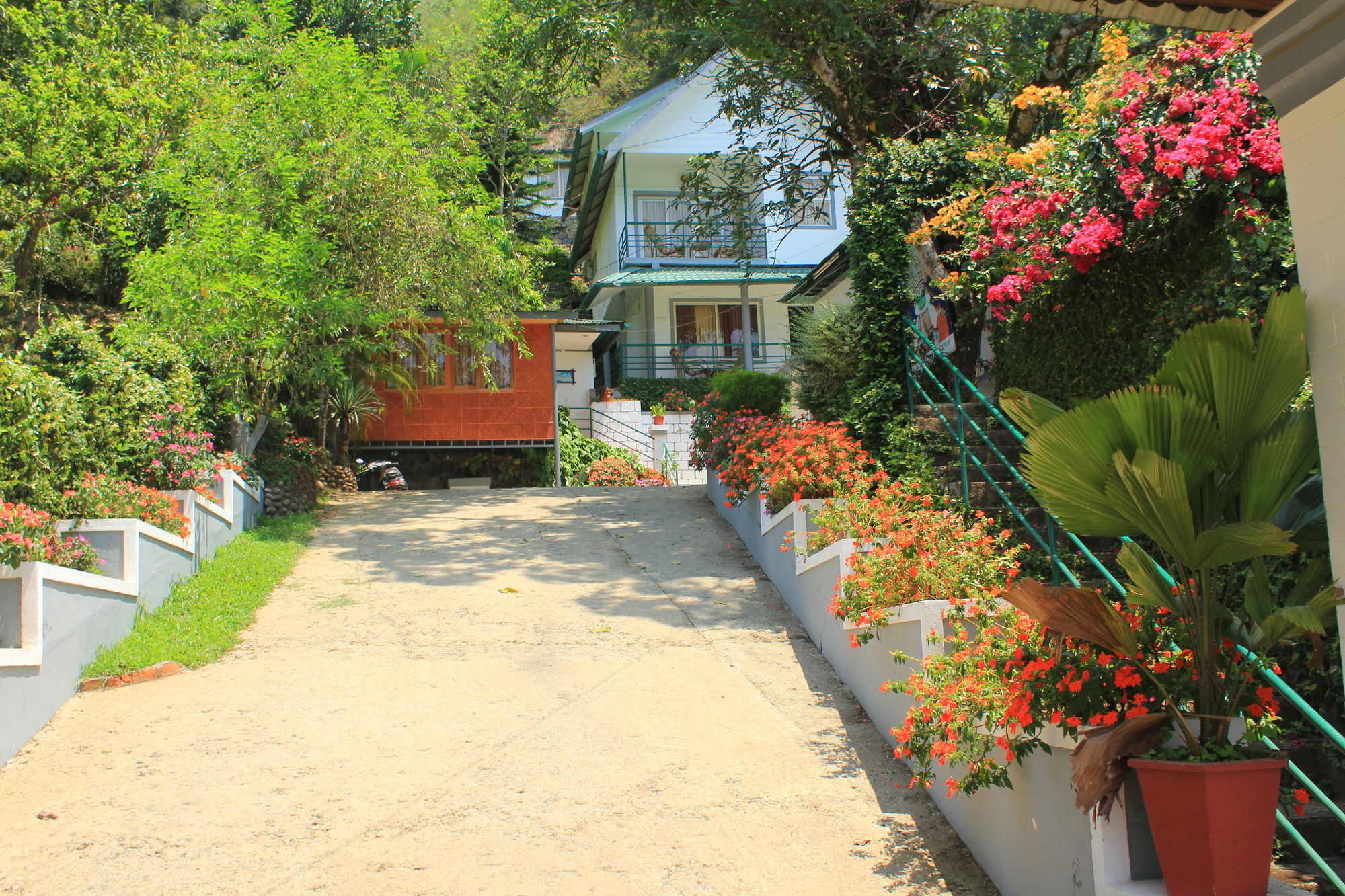 Bellavista Resort Munnar Ngoại thất bức ảnh